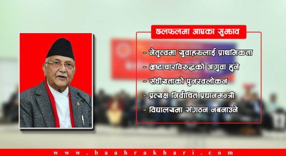 संघीयता पुनर्विचार गर्नेदेखि भ्रष्टाचारविरुद्ध अगुवाइ गर्नेसम्मका सुझाव